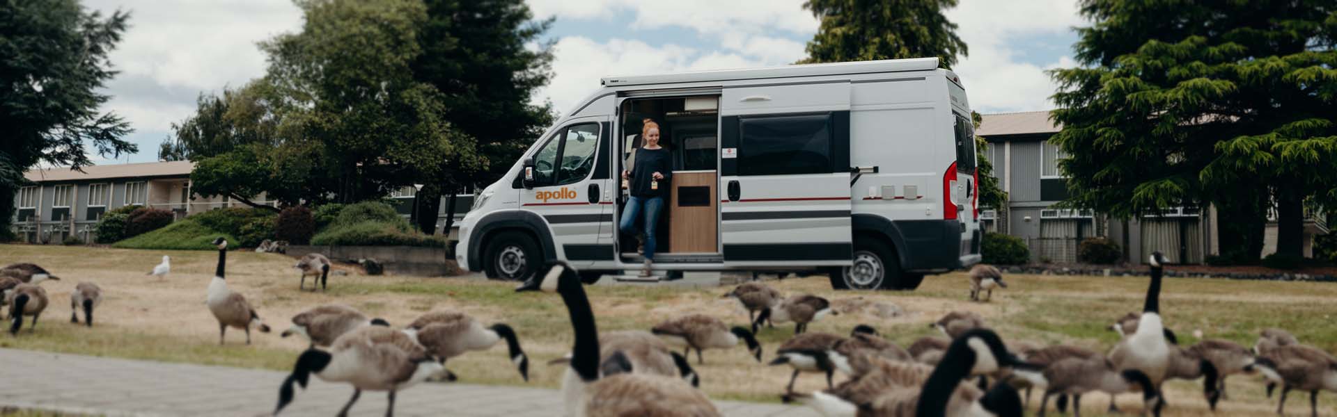woman and birds in front of Apollo campervan in New Zealand